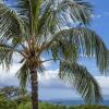 Отель Maui Vista by Coldwell Banker Island Vacations, фото 29