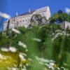 Отель Burg Altpernstein, фото 14