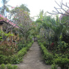 Отель Five Brother's Homestay, фото 13