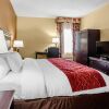 Отель Comfort Suites Florence - Cincinnati South, фото 48