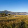 Отель Shepherds Tree Game Reserve, фото 48