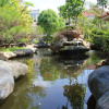 Отель Novilla Boutique Resort, фото 14