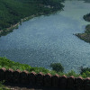Отель Tripvillas @ The Ummaid Bagh Resorts, Bundi, фото 7