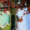 Отель Villa Xanthippi, фото 35