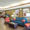 Отель Comfort Inn & Suites в Эджвуде