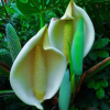 Отель Quinta Do Cabouco, фото 19