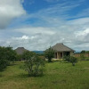 Отель Matembezi Safari Lodge, фото 18