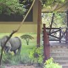 Отель Drunken Elephant Mara, фото 5