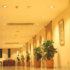 Отель Royal Garden Hotel(Tokushima), фото 2