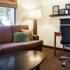 Отель Sleep Inn, фото 4