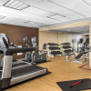 Отель Sheraton Toronto Airport Hotel & Conference Centre, фото 25