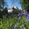 Отель Domaine de Chatenay - Le Mans, фото 4