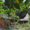 Отель Borneo Escape - Eco Village, фото 7