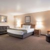 Отель Quality Inn & Suites Lake Havasu City, фото 29