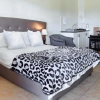 Отель Kingfisher Hollow Exclusive Guest House, фото 2