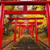 Отель Stay SAKURA Kyoto Nijo Rikyu, фото 11