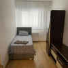 Отель Cosmin Apartament Sondelor, фото 6
