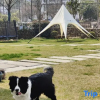 Отель Manyi Dream·Moganshan Hot Spring Resort Homestay, фото 9