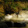 Отель Amagase Onsen Cottage Hiiragi, фото 15