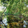 Отель Tranquil Getaways On Obi Maleny, фото 36
