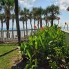 Отель Flamingo Inn Beachfront - Daytona Beach, фото 8
