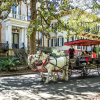 Отель Southern Belle Carriage House, фото 14