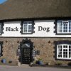 Отель The Black Dog Inn в Тивертоне