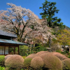 Отель Yoshiike, фото 44