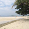 Отель The Red Palm Resort, фото 17