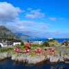 Отель The Manor House in Hamnøy, фото 6