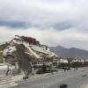 Отель Lhasa Zhuma Hostel, фото 15