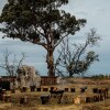 Отель Lancemore Macedon Ranges, фото 1