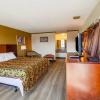 Отель Holiday Lodge Virginia, фото 18