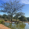 Отель Thula Private Lodge, фото 34