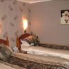 Отель Braeside Guesthouse, фото 1