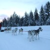 Отель Lake Inari Mobile Cabins в Инари