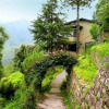 Отель V Resorts Ramgarh Cottage, фото 8