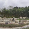Отель Qi Ming Xing Hot Spring Hotel, фото 8