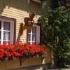 Отель Schwarzwald-Gasthof Rößle, фото 27