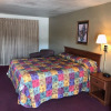 Отель Rancho Tee Motel, фото 4