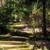 Отель Quinta de Mourães Casa dos Rododendros, фото 8