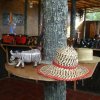 Отель Parkview Safari lodge, фото 21