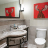 Отель Moose Hotel And Suites, фото 10
