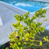 Отель Brand new apartment in Monopoli, private pool, private parking, suitable for couples-Allegria Pool H, фото 16
