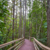 Отель Parkway International Resort, фото 28