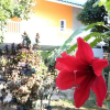 Отель Baan Aranya Homestay - Khlung, фото 1