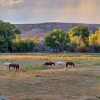 Отель Canyons of Escalante RV Park, фото 34