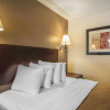 Отель Quality Inn & Suites, фото 7