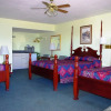 Отель Blue Spruce Motel, фото 3