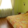 Отель Pensiunea Balea Sat, фото 6